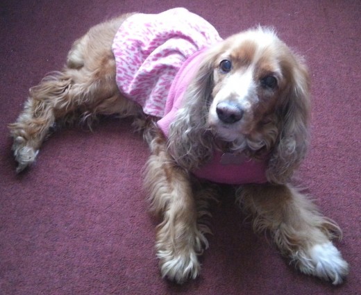 Katty en Septiembre del 2013, a los 12 años Katty en Septiembre del 2013, a los 12 años